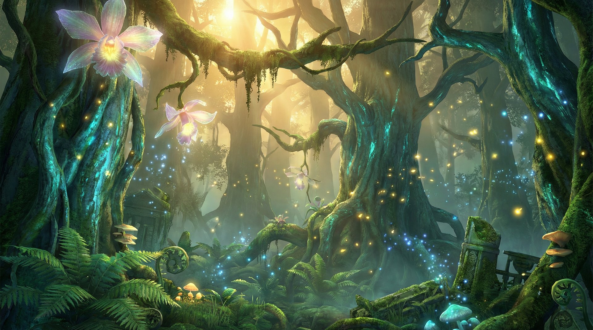 人兽天山雪岭云杉探秘植物视频